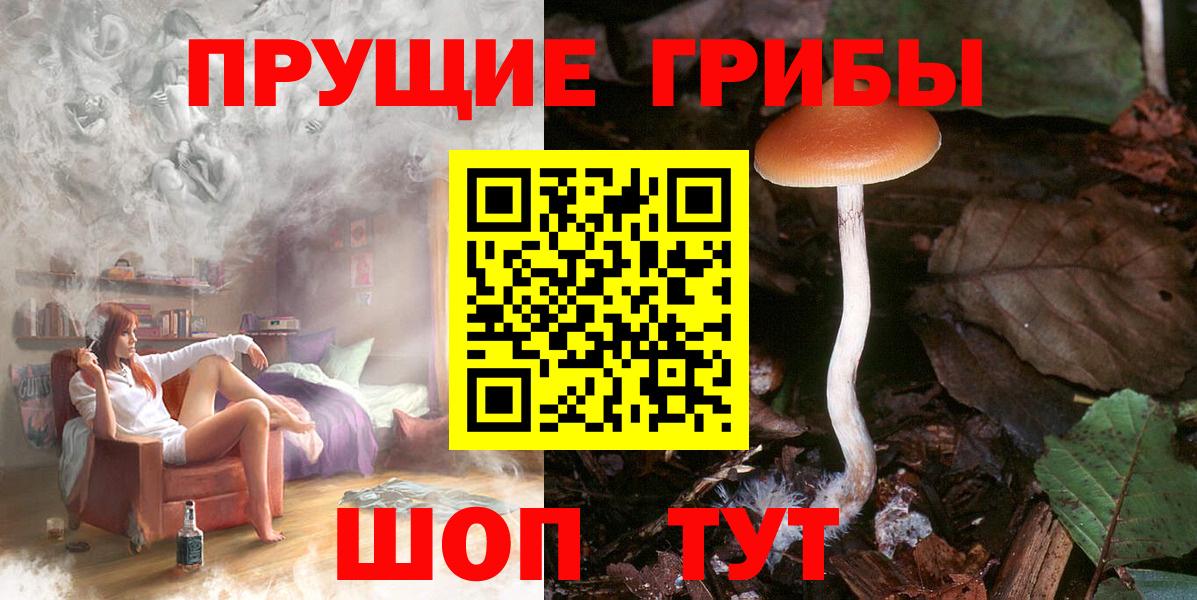 Псилоцибиновые грибы ЛСД Корсаков