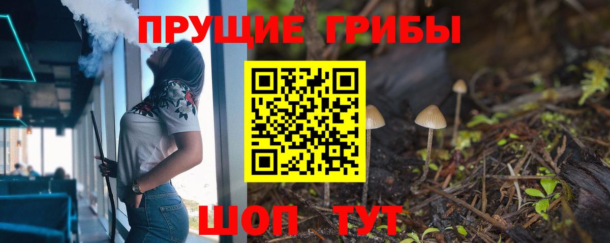 Корсаков  Галлюциногенные грибы Psilocybine cubensis  Вход с VPN  Псилоцибиновые грибы мухоморы 